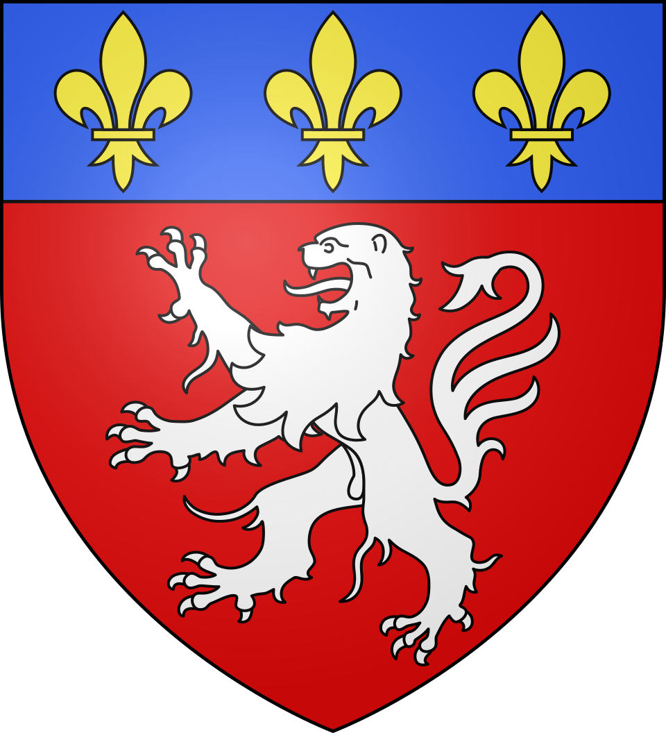 Blason ville de Lyon bleu or blanc et rouge